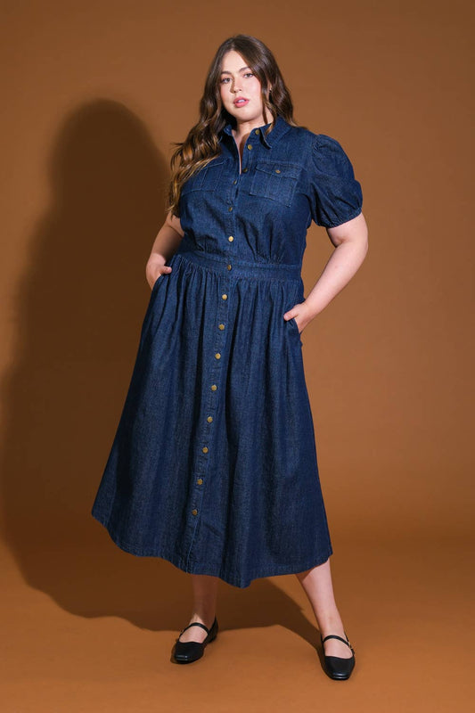 Gianna denim dress